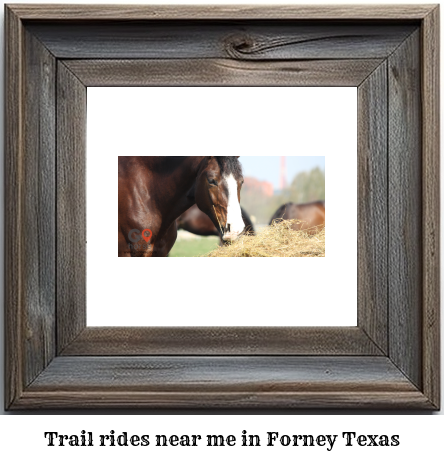 trail rides near me in Forney, Texas